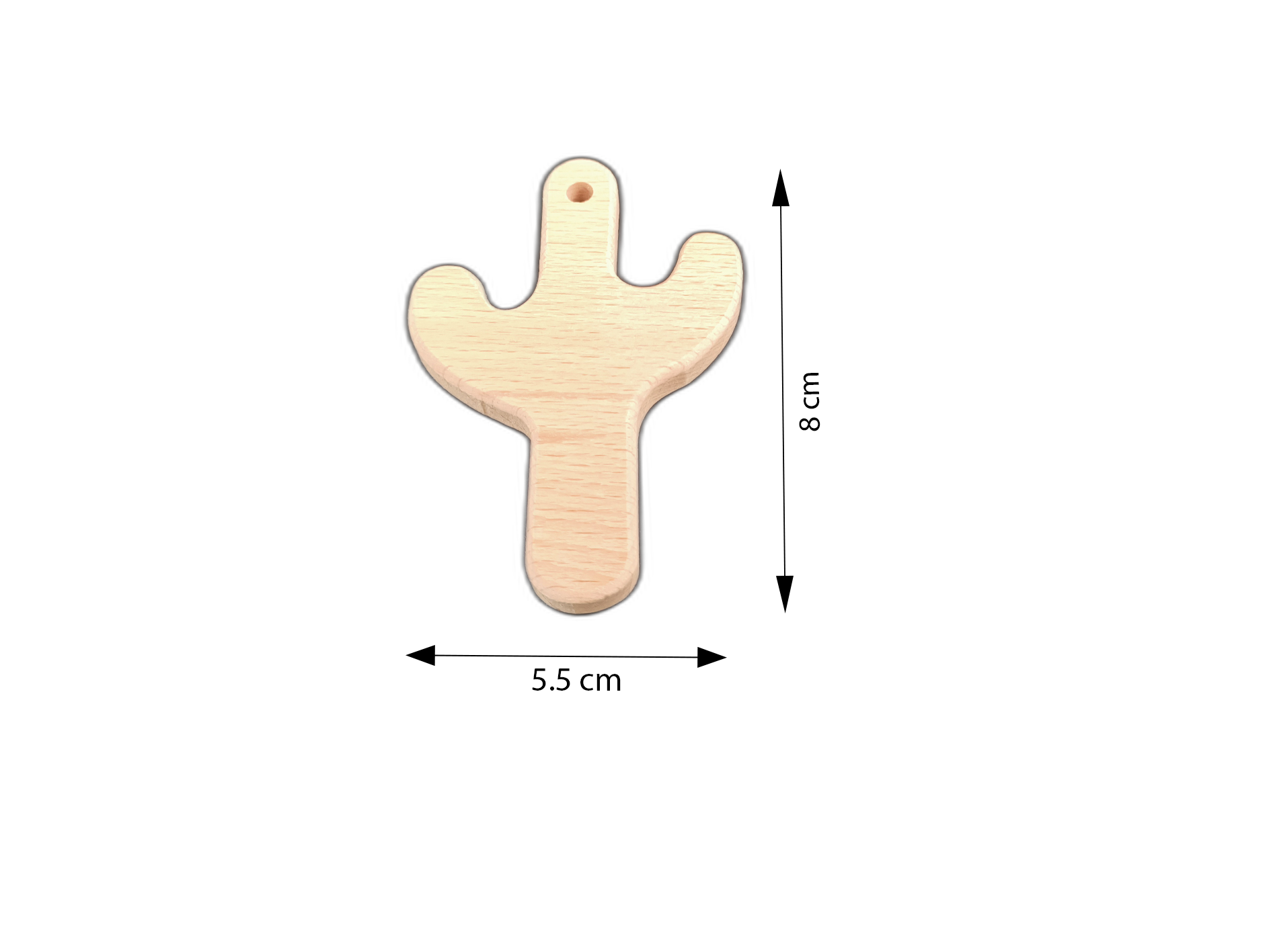 SAPSIZ DİŞ KAŞIYICI KAKTÜS